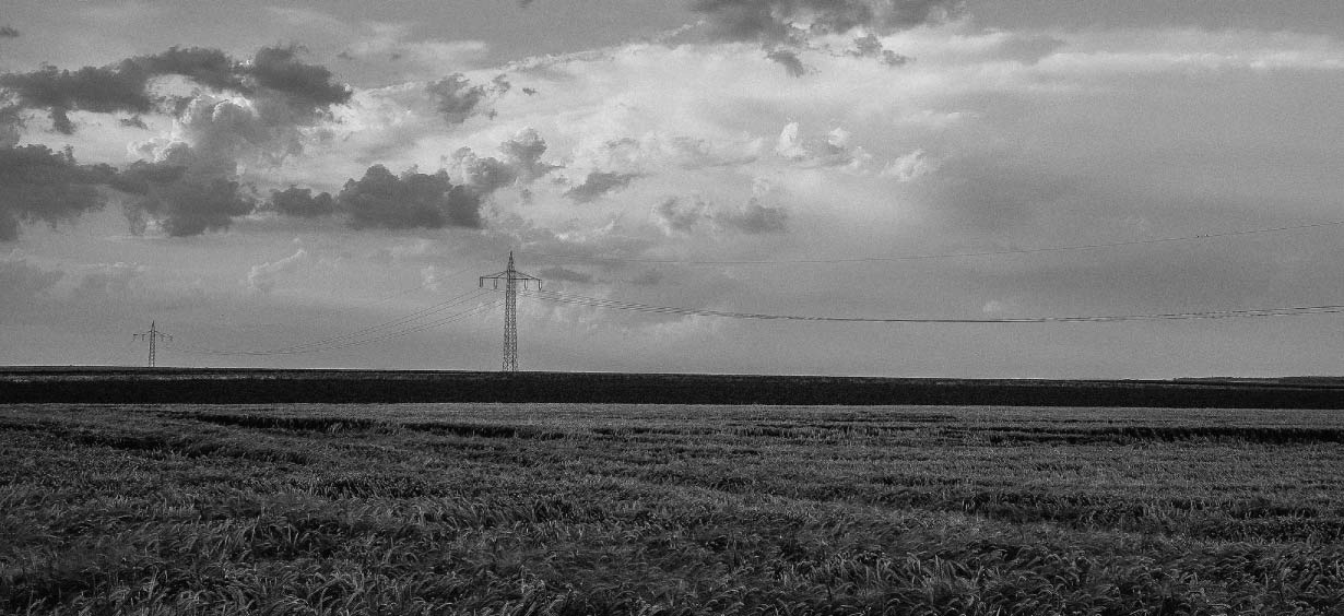 weiland met elektriciteitsmast