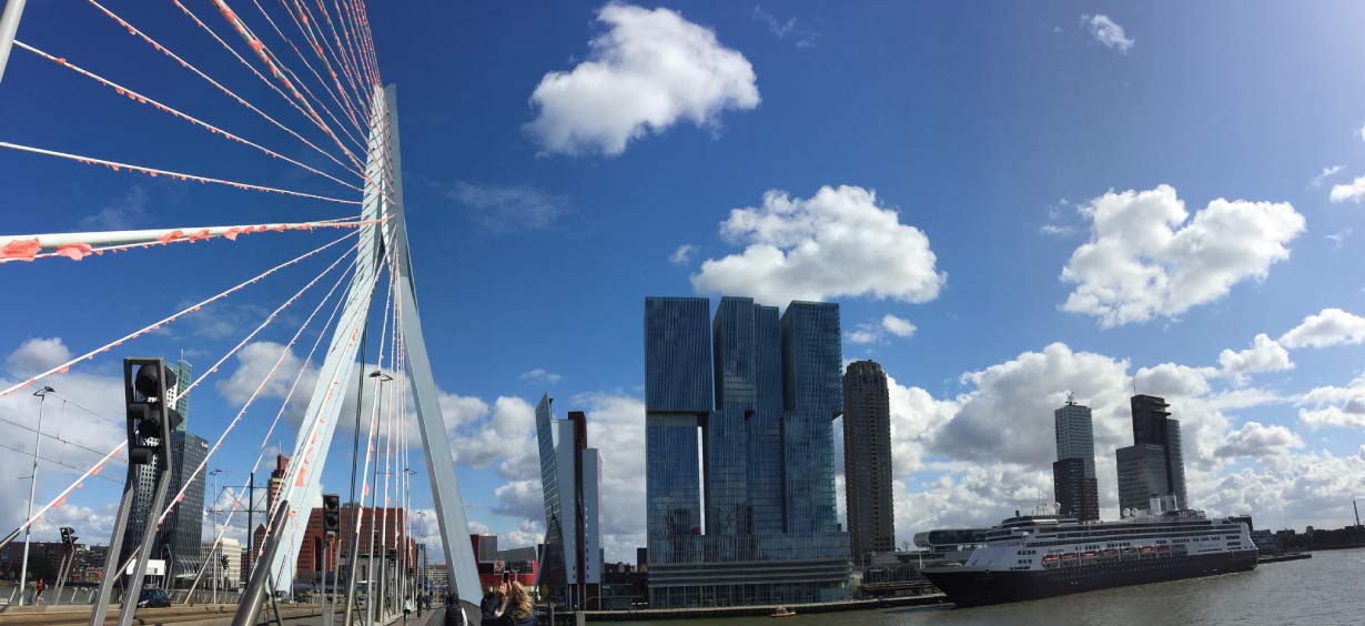 erasmusbrug en de rotterdam
