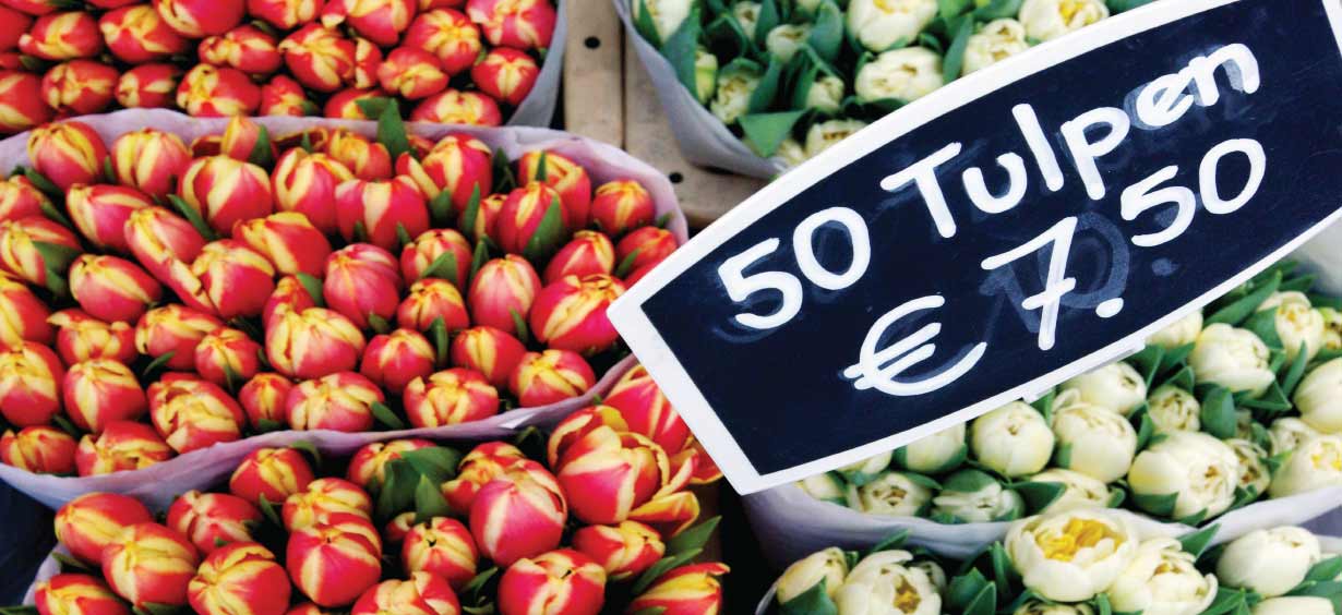 tulpen